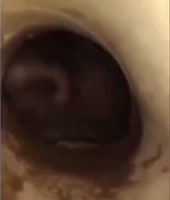 15836836102420.mp4
