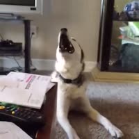 15835879133143.webm