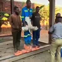 15757981729610.mp4