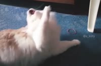 15845630293660.mp4
