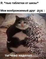 1582716956785.jpgр.jpg