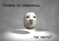 15397217907981.png