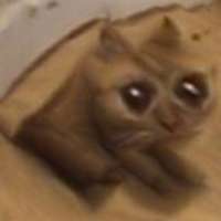14842201878537812.jpg