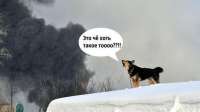 BrUj007IUAAMkaq.jpg