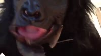 10100111.mp4
