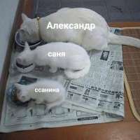 15840066293653.jpg