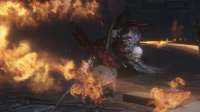 Elder Slash 1.jpg