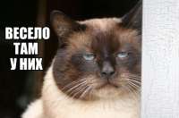 весело-там-у-них.png