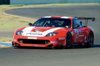 prodrives-ponies-1.jpg