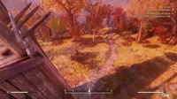 15865556814173.mp4