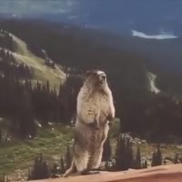videoplayback56.mp4
