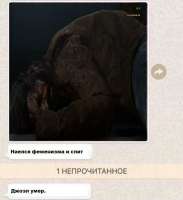 Без названия (8).jpeg