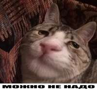 OQrGNyyGUO0.jpg