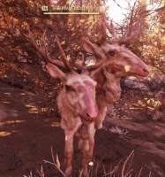 Fallout7620200427202503596.jpg
