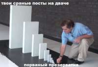 5436457567856745.jpg