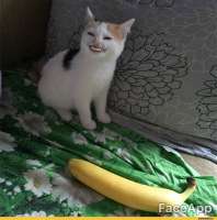 1589021771670.png