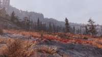 Fallout7620200509211007569.png