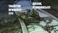 Без имени.jpg