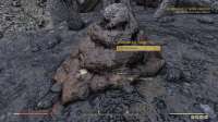 Fallout7620200518001319021.png