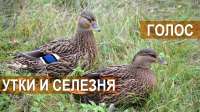 изображение.png