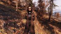 Fallout7620200517231651937.png