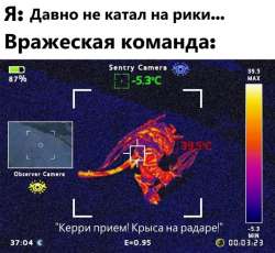3156136113.jpg