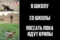15537074290400.jpg