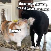 15786758533103.jpg
