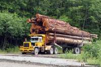 146651322311-pacific-p12-logger.jpg
