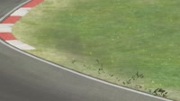 Highlights.mp4