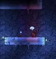 Terraria 2020-06-02 13-43-28-591.jpg