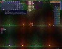 Terraria 2020-06-05 11-32-55-686.jpg