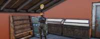 Fallout7620200517053541635.jpg