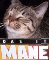 das it mane (2).jpg