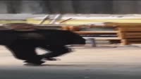 Проект06-01(1)HD.webm