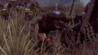 Warhammer2 2019-10-16 19-28-12-19.jpg