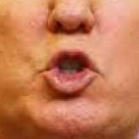 Screenshot2020-06-11 trump lips meme - Google Search.png