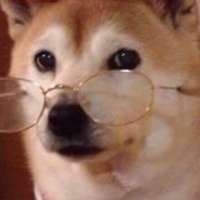 image.jpeg