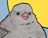 image.jpeg