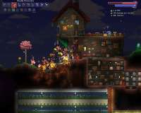 Terraria 2020-06-11 12-22-29-466.jpg