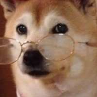 image.jpeg