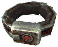 FNVSlaveCollar.png