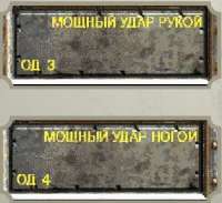 3421.jpg