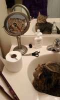 image.jpeg