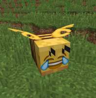 image.jpeg