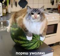 3MC3nQuzeNI.jpg