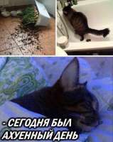 oamGDwBO6QQ.jpg