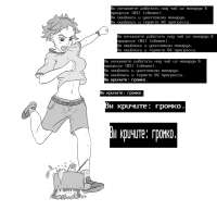 монарда.png