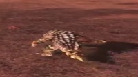 .webm