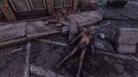 Fallout420200624144457978.jpg